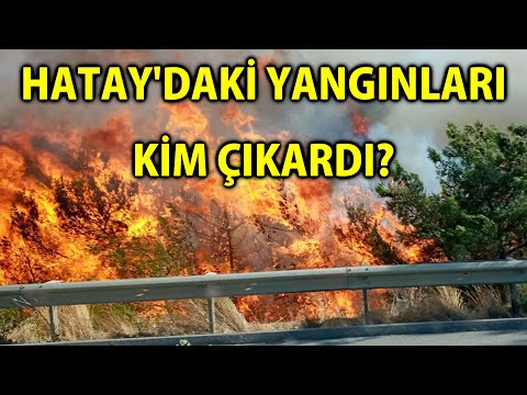 MP - Hatay'daki Yangınları Kim Çıkardı?