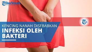 Gonore, Kencing Nanah atau Pilek pada Alat Kelamin karena Infeksi yang Disebabkan oleh Bakteri