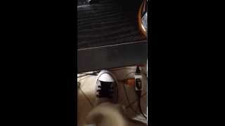 308 Smokey & Oso Freestyle