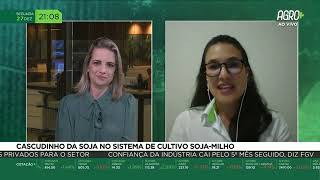 Miniatura do vídeo