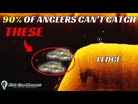 No One On Your Lake Can Catch These Bass - Learn How You Can!