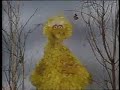 Classic Sesame Street Big Bird Leaves