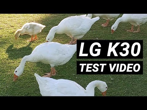 LG K30 - Video Quality Test (1080p)