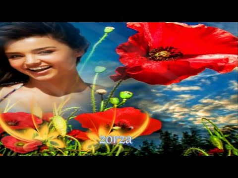♫♥♫ Dla Ciebie ❤ Super pięknego popołudnia i wieczorku ♫♥♫