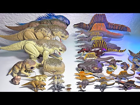 Distortus Rex VS Spinosaurus! Jurassic World Rebirth Dinosaur Toys Collection Battle!