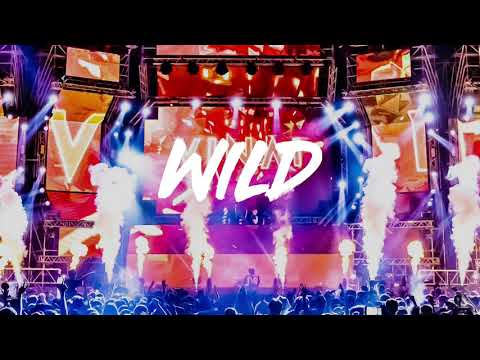 VINAI ft. Fatman scoop - WILD [Official 2019 New Song]