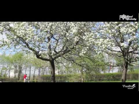 Vendace In The Mix 2012 (Mixed by Paul Vinitsky)