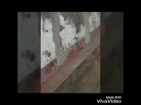 Mô way cover video Os primos Onivajr