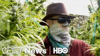 Prop 64 Legal Weed in California: VICE News Tonight on HBO (Full Segment)