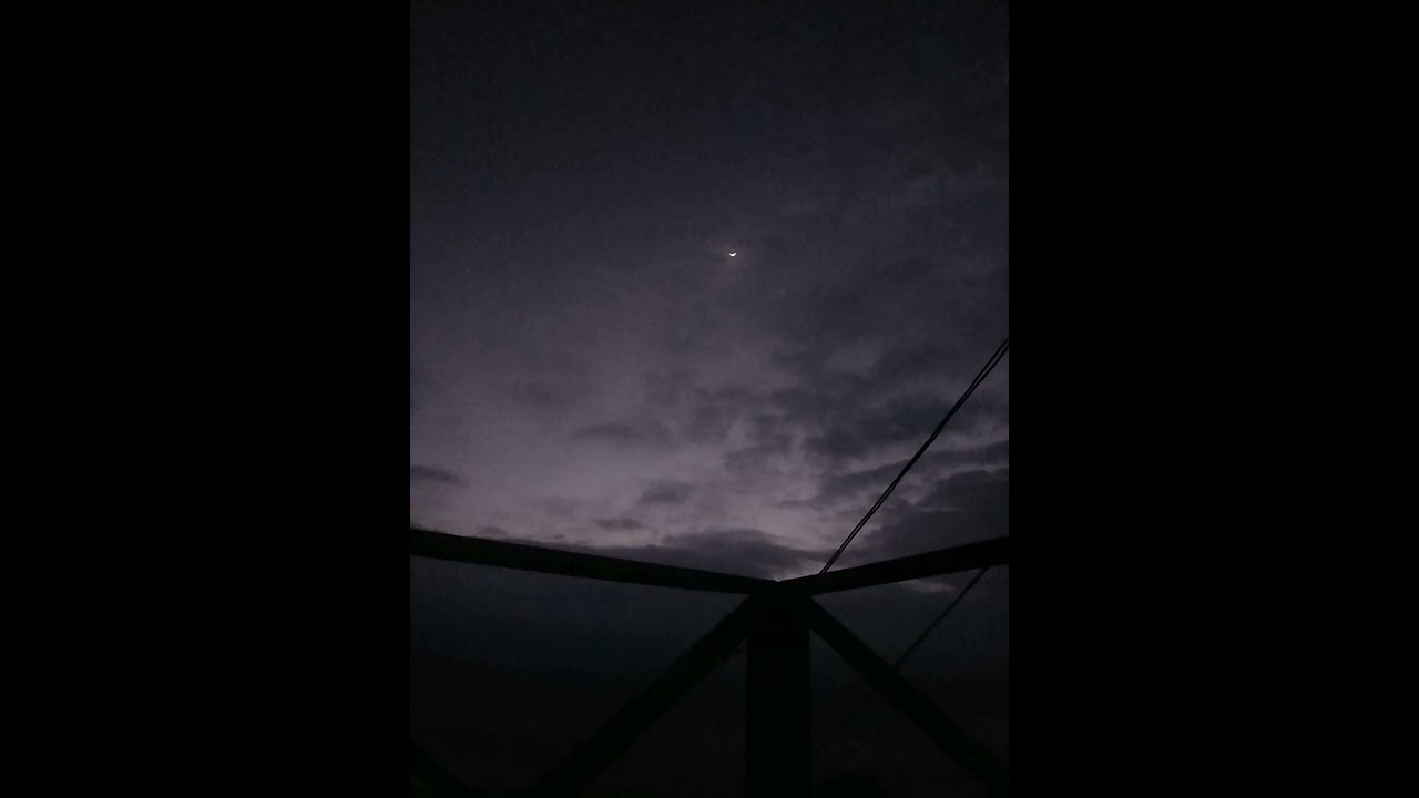 Mystic Garden (Ankan x Momrose)