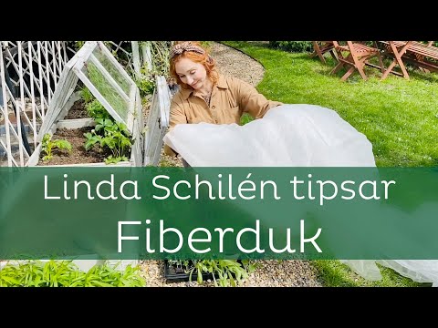 , title : 'Linda Schilén tipsar – fiberduk'