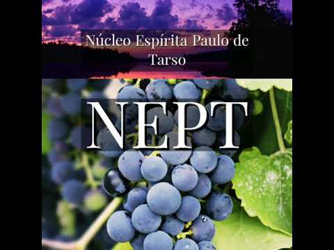 Médiuns imperfeitos