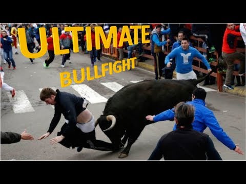 Bull attacks, Epic Bull chase and attack collections 2018