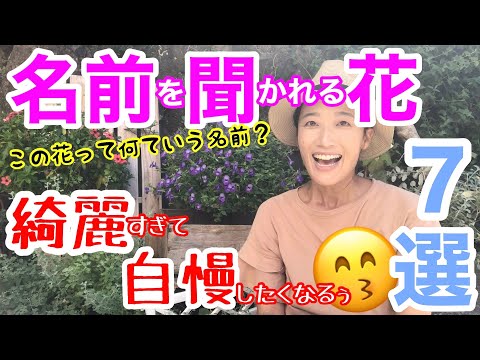 カウスリップ、メドウサクラソウ 植物