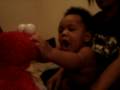 Baby Elmo