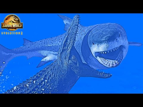 Big Fights in Deep Waters! Mosasaurus VS Megalodon 🦈 Jurassic World Evolution 2
