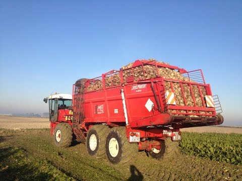 Vergauwe K&P: Bieten Rooien 2015 Beetmaster 3200-90 Claas 630 Gilles Betteraves Sugar beet