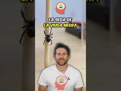 Telaraña vs acero: ¿Cuál es más fuerte?