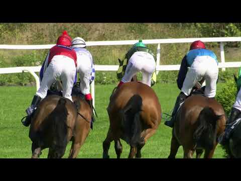 CH, 13. 9. 2020, 3. dostih - CENA SPOLEČNOSTI CHLÁDEK A TINTĚRA, PARDUBICE a. s.