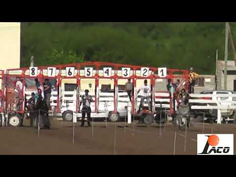 MONJITA HIPODROMO DON SOHAR CRUZ DEL EJE 17 12 2022