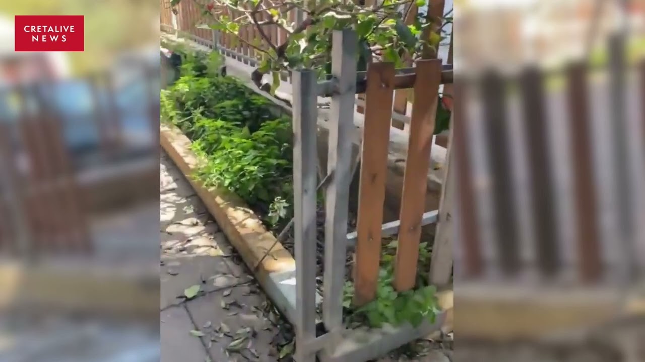 Φθορές και σκουπίδια στο πάρκο του Αγίου Γεωργίου στον Πόρο