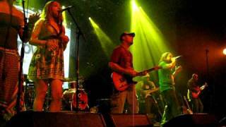 Orange Grove - White Daisy