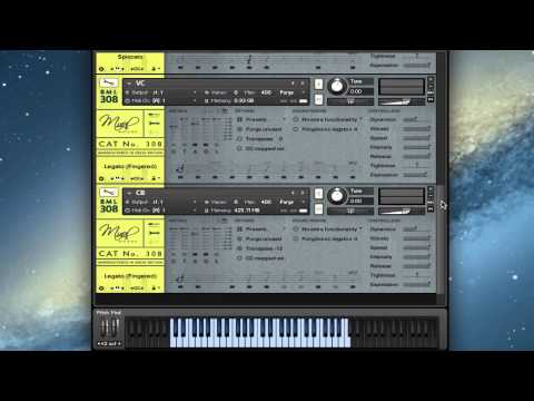 Free Download Mural Strings Vol.1 KONTAKT-AUDiOMANiAC