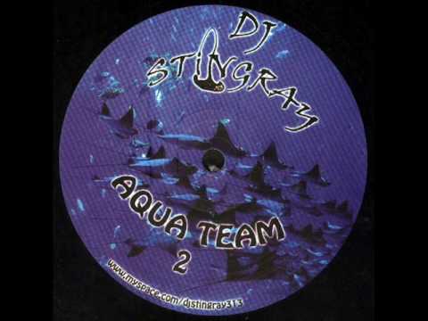 Dj Stingray - It's all connected