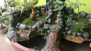 preview picture of video 'Bonsai kelapa air terjun / waterfall coconut bonsai'