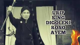 Download lagu Siji wadah Ojo pecah mp3 Download lagu Siji wadah Ojo pecah mp3
