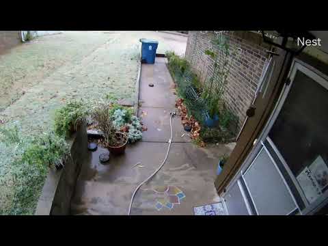 Formation of Ice from Water - Oklahoma Ice Storms Time-lapse