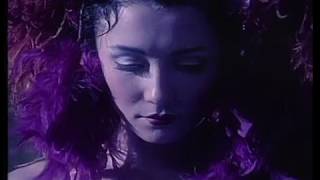 Gary Moore - Ballads &amp; Blues (DVDRip)