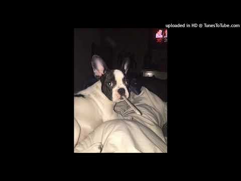 pieczara - 420 (nightcore)