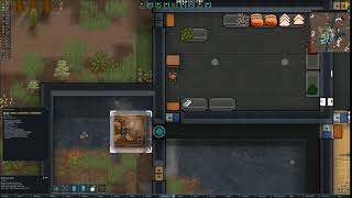 Video 7