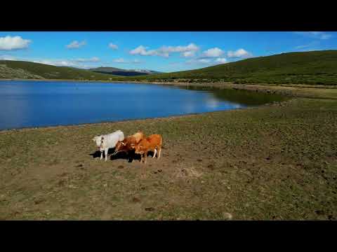 Senda de la Laguna de Yeguas (P. Natural Lago de Sanabria y Sierras de Segundera y Porto - Zamora)