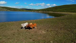Senda de la Laguna de Yeguas (P. Natural Lago de Sanabria y Sierras de Segundera y Porto - Zamora)