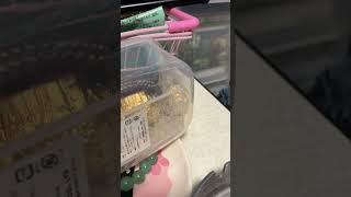 失恋したから本気で想いを込めて歌うWoman 薬師丸ひろ子〜Wの悲劇〜