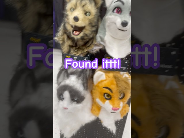 Vídeo relacionado con POIUIYQA Zapatos de Patas Cosplay Cute Slip-On para Convenciones de Anime, Comic Cons, Encuentros de Halloween y Fiestas de Disfraces Furry para Fursuit