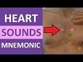 Heart Sounds Auscultation #shorts S1, S2 Nursing Assessment (aortic, pulmonic, tricuspid, mitral)