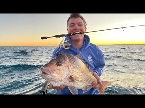 Hamachi Nano Stalker S2 in action — fishing video