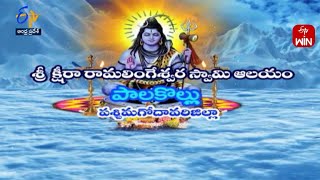Temple video