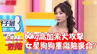 60kg高加索犬暴衝攻擊 女星狗狗重傷住院3週險喪命？【#醫師好辣】20220811 part3 EP1392 舒子晨 黃淳鈴 張佳倖