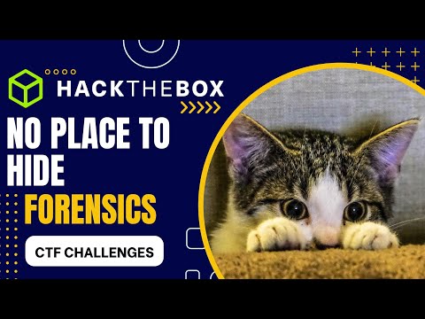 Hack The Box CTF Challenge: No Place To Hide - FORENSICS