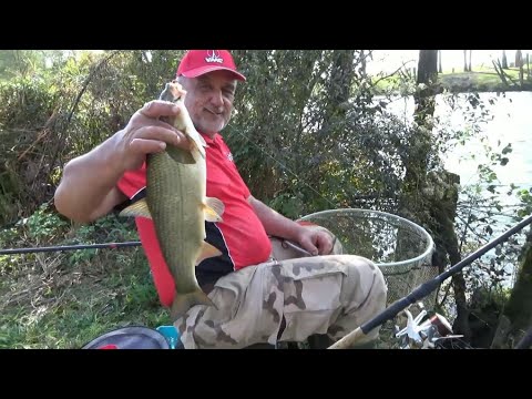 FEEDEROM NA NISKOJ I BISTROJ KUPI - Ninoslav Žagar