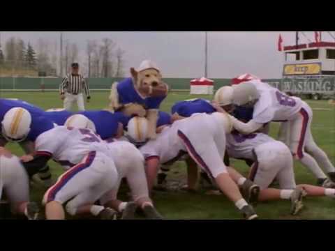 airbud: golden receiver trailer remake