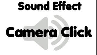 Camera Capture Click Sound Effect