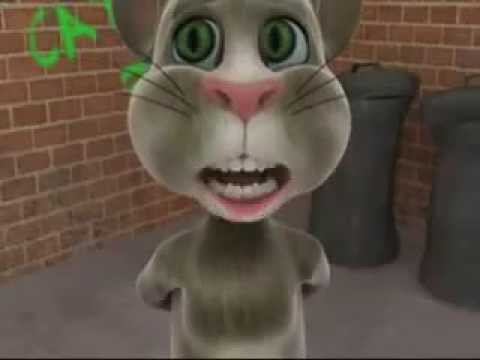 cat's love-  by chandresh