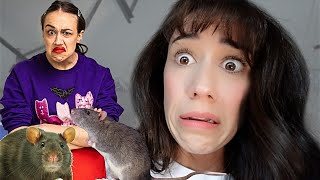 My Miranda Costumes Got Eaten By RATS!