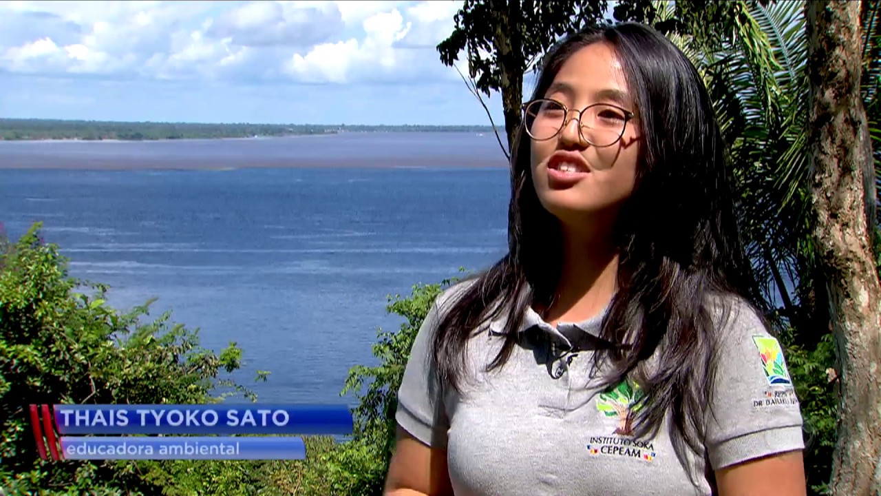 Amazônia: riqueza da floresta desafia pesquisa científica do Brasil