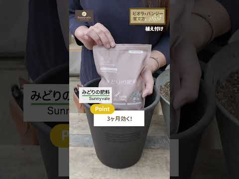 植物構造-織り柳-パーソナライズされたラウンドキャビン